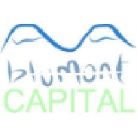 Bluemountain Capital Lp