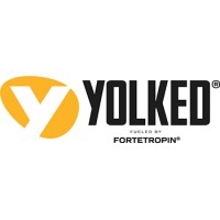 YOLKED logo - Similar company to Vietsway.Com