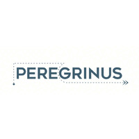 Peregrinus Global logo - Similar company to Nexergy Transformer Service