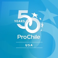 ProChile USA logo - Similar company to Prochile