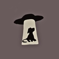 Black Dog Productions logo - Similar company to Milton Access Tv