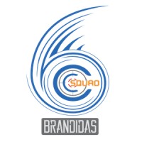 Brandidas Vietnam logo - Similar company to Right Targeting