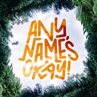 Any Name's Okay logo - Similar company to The New Hue