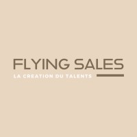 Flying Sales logo - Similar company to Nextlevelpc
