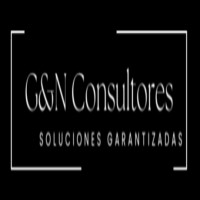 G&N Consultores