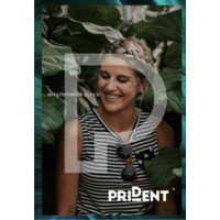 Prident Clinica Dental logo - Similar company to Clínica Dental Divedent Spa
