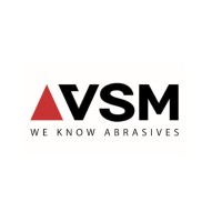 VSM Abrasives (China) Co. Ltd. logo - Similar company to Disisa / Distribuidora Imagen & Salud Integral S.A. De C.V.