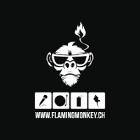 Flaming Monkey logo - Similar company to Forced Exposure