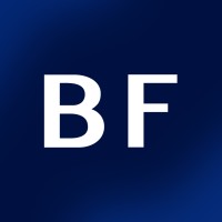 Bespalov Finance logo - Similar company to Schatco Gmbh