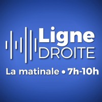 Ligne Droite logo - Similar company to Vox Humanitatis