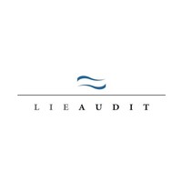 Lie Audit Gmbh