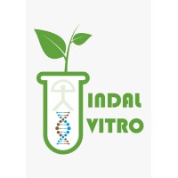 Indalvitro logo - Similar company to Innoplant