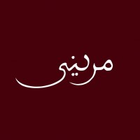 Merini logo - Similar company to Mederi Salud