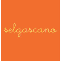 selgascano logo - Similar company to Ohlab