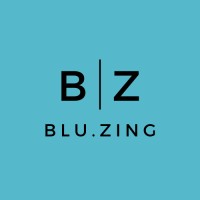 Blu.zing logo - Similar company to Euromaster Romania