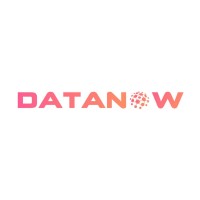 Datanow Solutions LLP logo - Similar company to Datanow
