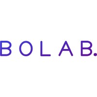 Bolab logo - Similar company to Cae Software Und Systems Gmbh