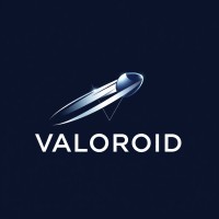 Valoroid logo - Similar company to Digital Growth Roadmap