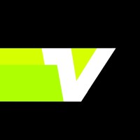 Vigo logo - Similar company to Fiyuu