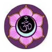 Call Astro logo - Similar company to Callastro