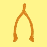 Wishbone Coaching logo - Similar company to Van Der Werff Controlling