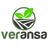 Veransa Group, Inc
