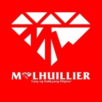 MICHEL J. LHUILLIER FINANCIAL SERVICES (PAWNSHOPS), INC. logo - Similar company to Settlement Experts