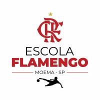 Escola Flamengo Moema logo - Similar company to Targeted Web Traffic