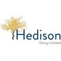 Hedison Group Limited logo - Similar company to Rapid Travel Group