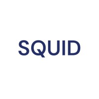 Squid Consultancy logo - Similar company to Data Solution Hub Ltd