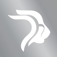 Nikrun Motor logo - Similar company to Nexroad Company