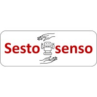 Sestosenso logo - Similar company to Convince Project
