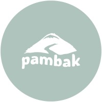 Pambak Games logo - Similar company to Blind Bend Studio