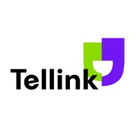 Tellink Global logo - Similar company to Playlog.Io
