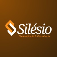 Silesio Contabilidade logo - Similar company to Adcon Contabilidade