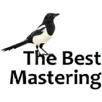 Digital Mastering logo - Similar company to Mestizolab