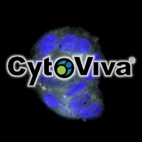CytoViva, Inc logo - Similar company to Red Mountain Technology Solutions