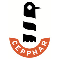 Cepphar Foundation logo - Similar company to Kassius