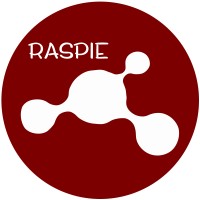 The Raspie Network logo - Similar company to Code The Gap
