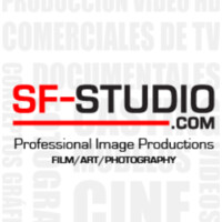 SF-STUDIO logo - Similar company to Green Decor