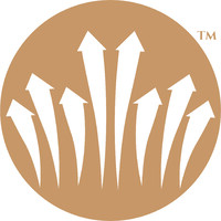 Crown Wealth Strategies logo - Similar company to Studio Surya Yoga