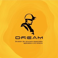 DREAM S.R.L logo - Similar company to Grupo Cinca