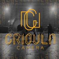 Crioula Câmera logo - Similar company to Tiee Propaganda