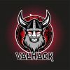ValHack logo - Similar company to Bluesky Security