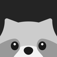 Rakun logo - Similar company to Cure5 Foundation