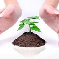 RoyCorp logo - Similar company to Grayy