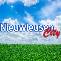 Nieuwleusen City logo - Similar company to S.V. Nieuwleusen