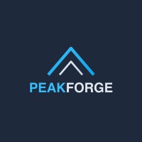 PeakForge logo - Similar company to Digital Funk Machine