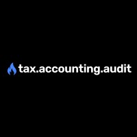 Tax Accounting Audit logo - Similar company to Virtual Tax Pros