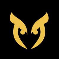 Noctua Interactive, inc logo - Similar company to Joyfulmagic, Llc